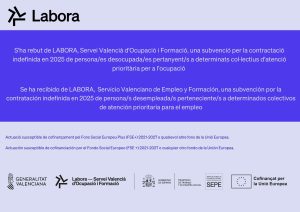 PUBLICACION FORMAL AYUDA LABORA JCM